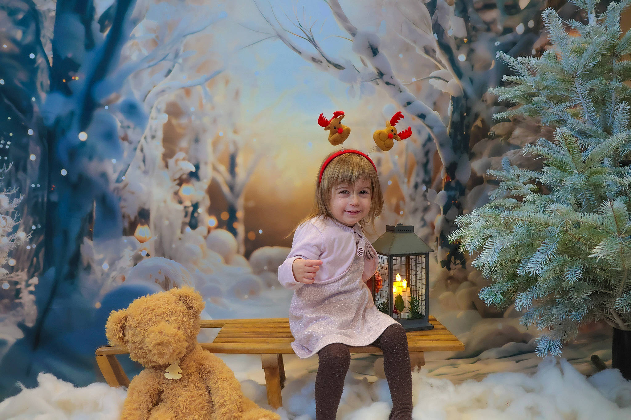 Camelia a rejoint le concours — aidez-le/la à gagner de superbes lots ! branch, christmas_ornament, fawn, freezing, happy, joy, leaf, light, lighting, mammal, nature, people_in_nature, person, photograph, plant, sky, snow, toy, tree, vertebrate