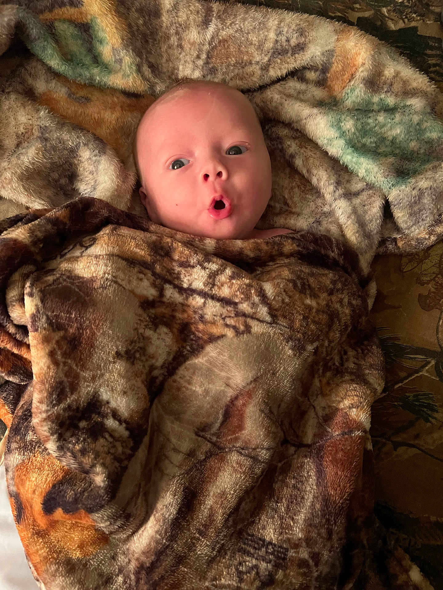 Beckett joined the competition — help win amazing prizes! baby, blanket, cozy, face, infant, wrapped, expression, wide_eyes, mouth_open, patterned_blanket, soft_texture, cute, child, lying_down, warm, indoor, portrait, newborn, skin, head