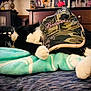 bed, black_and_white, blanket, budweiser, camo, cap, cat, cozy, decor, domestic, dorm_room, dressed_up, furniture, indoors, paws, pet, relaxing, resting, sleeping, whiskers