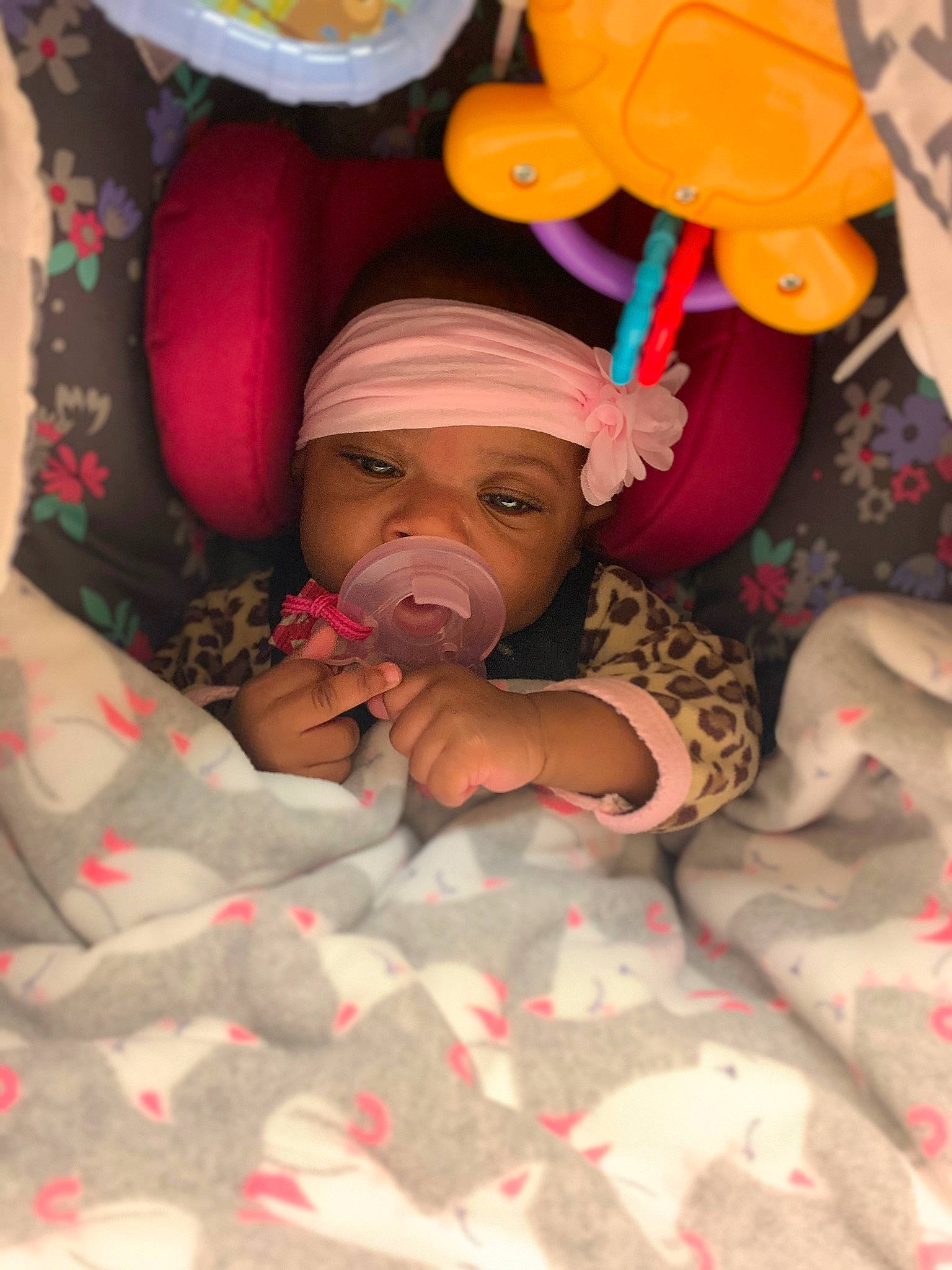 Egypt is registered to the contest to win money with this photo: baby, canidae, child, fawn, headwear, person, toddler, vizsla