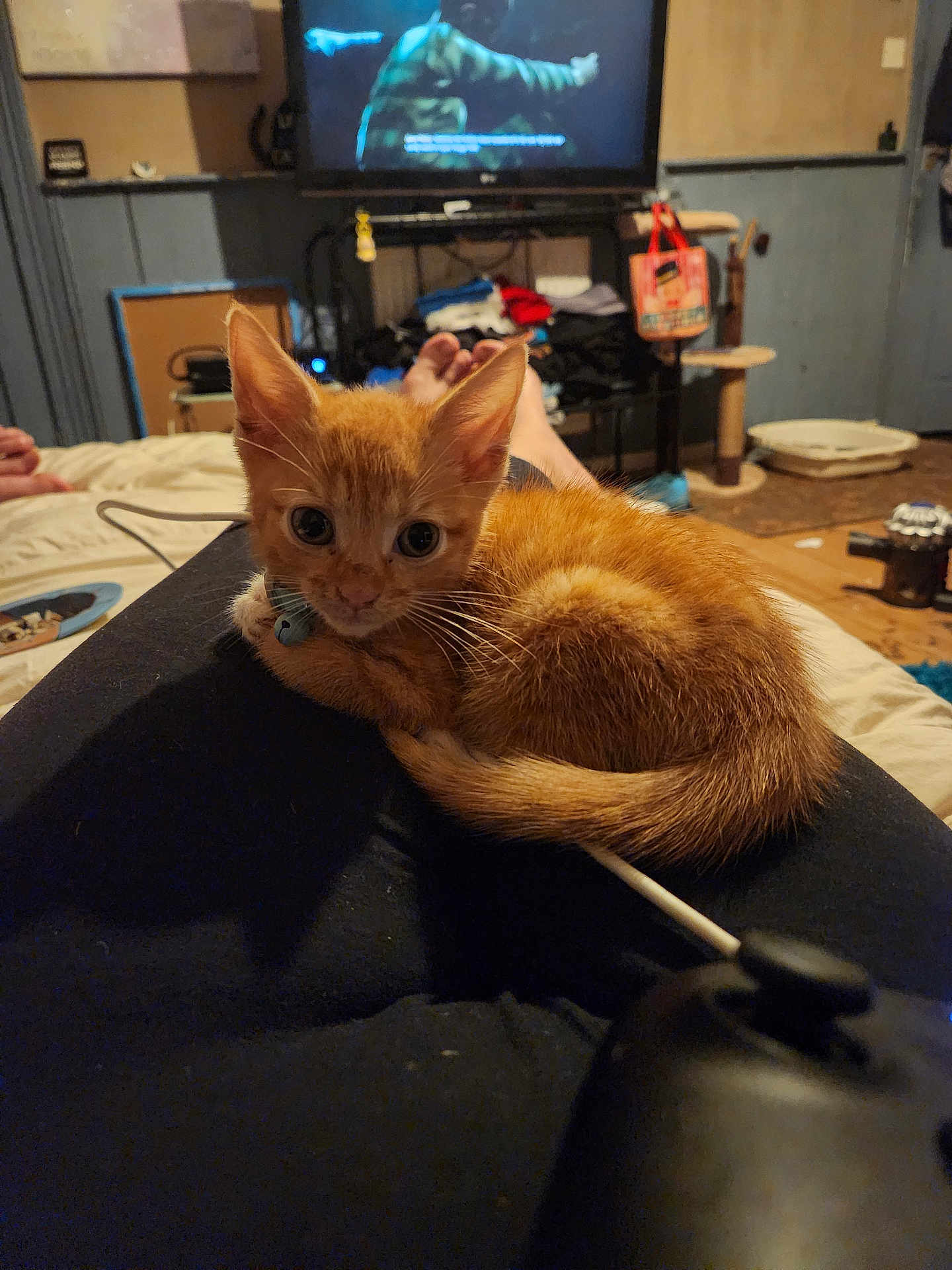 Bowser
