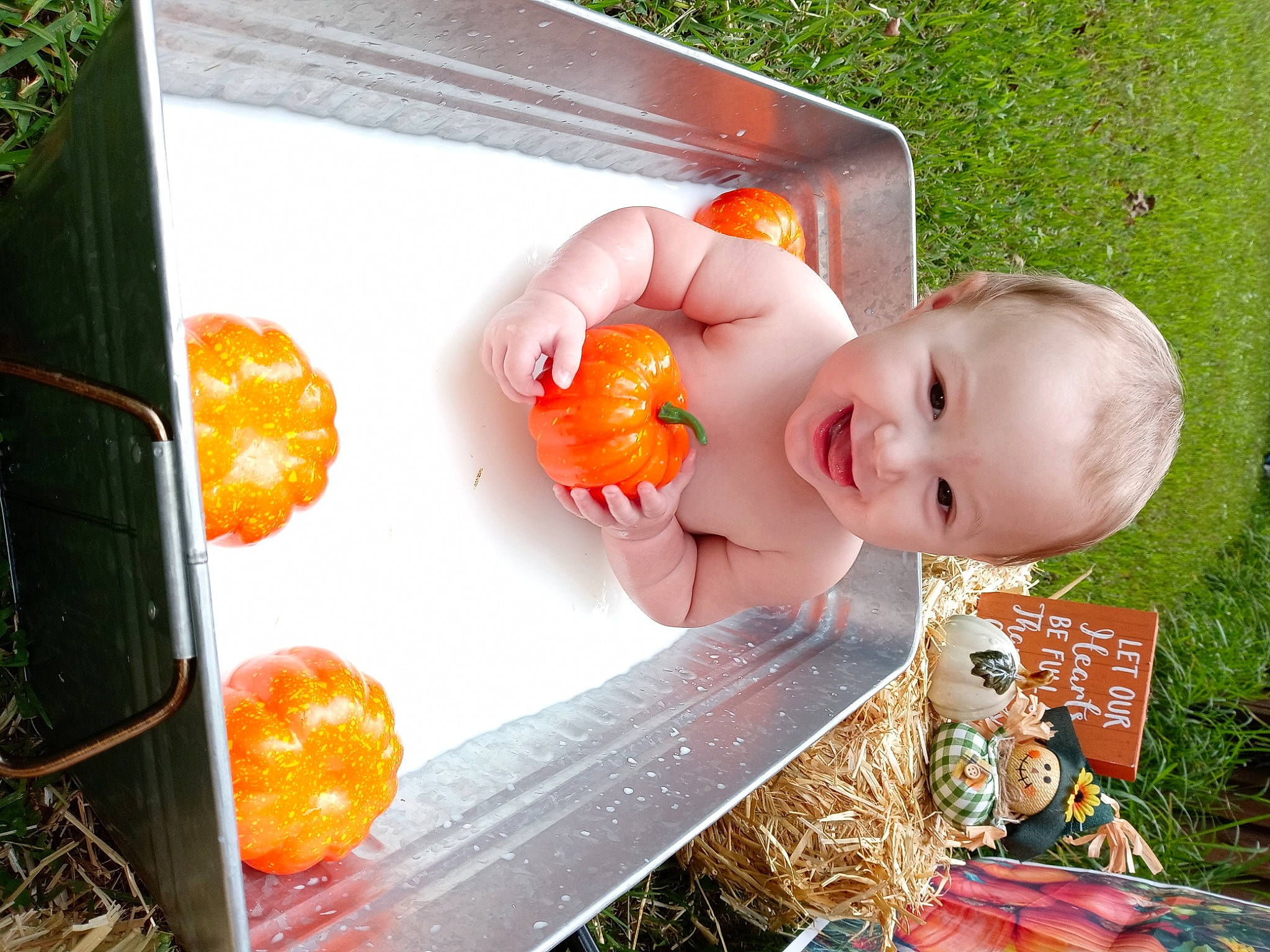 Milena is registered to the contest to win money with this photo: baby, baby_toddler_clothing, child, citrus, fruit, fun, grass, happy, leisure, natural_foods, orange, person, plant, play, pumpkin, recipe, smile, tableware, toddler, vegetable