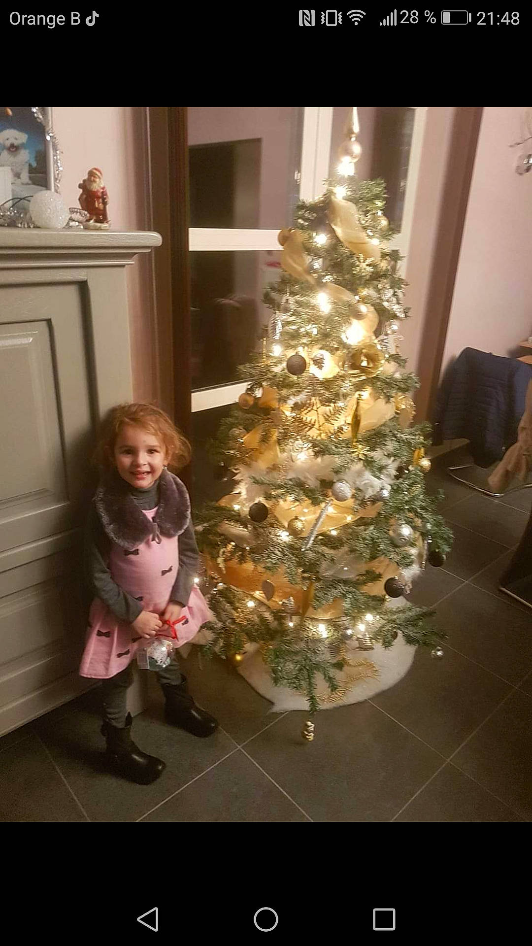 Rachel a rejoint le concours — aidez-le/la à gagner de superbes lots ! christmas, christmas_decoration, christmas_ornament, christmas_tree, decor, event, holiday, joy, person