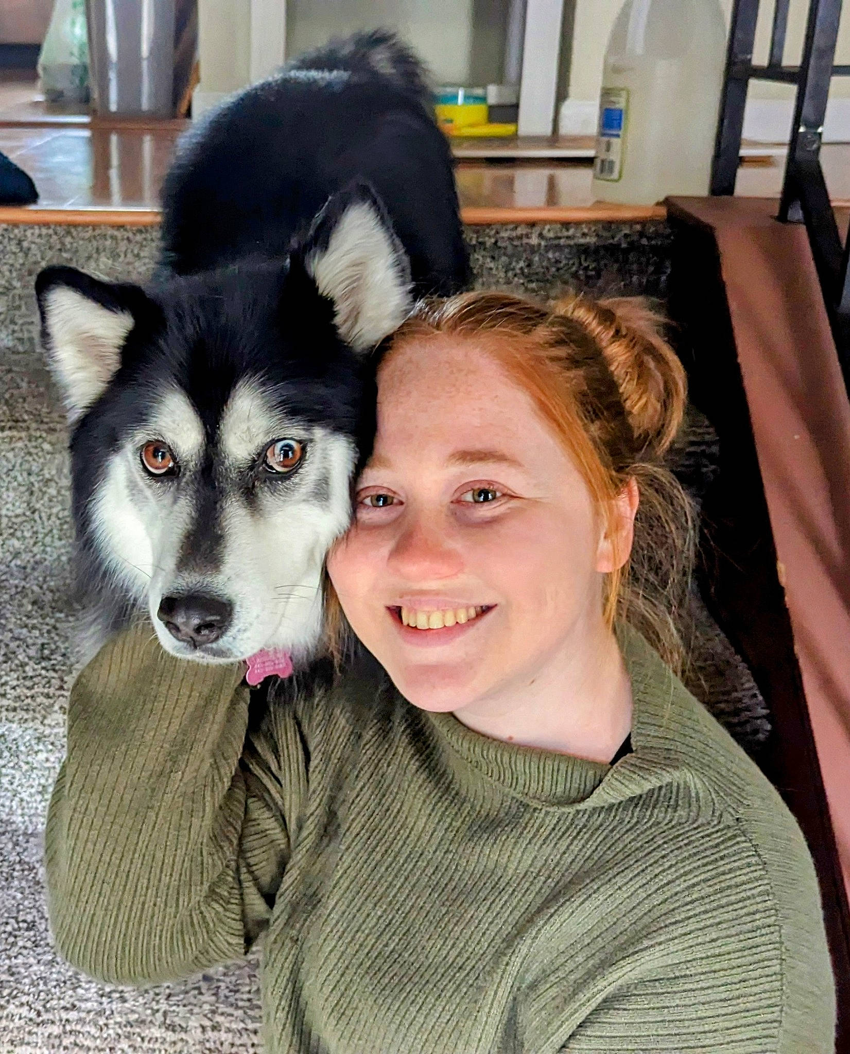 Brooklyn is registered to the contest to win money with this photo: ancient_dog_breeds, canidae, canis, carnivore, companion_dog, dog, dog_breed, fur, happy, non_sporting_group, siberian_husky, sled_dog, smile, snout, sporting_group, working_dog