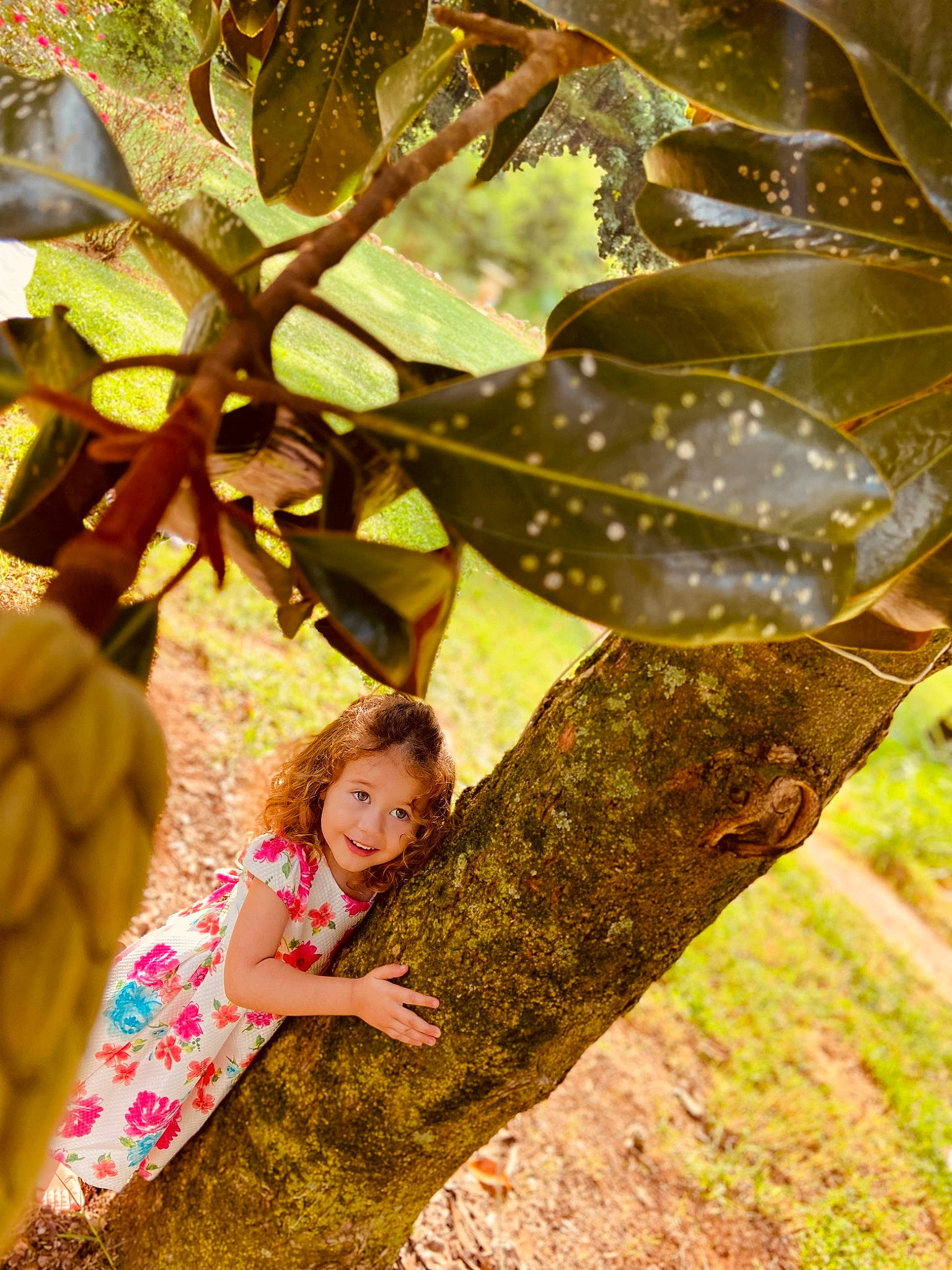 Laklynn Joanne is registered to the contest to win money with this photo: adaptation, botany, deciduous, fun, grass, happy, joy, leaf, leisure, nature, people_in_nature, person, plant, smile, spring, sunlight, terrestrial_plant, tints_and_shades, toddler, trunk