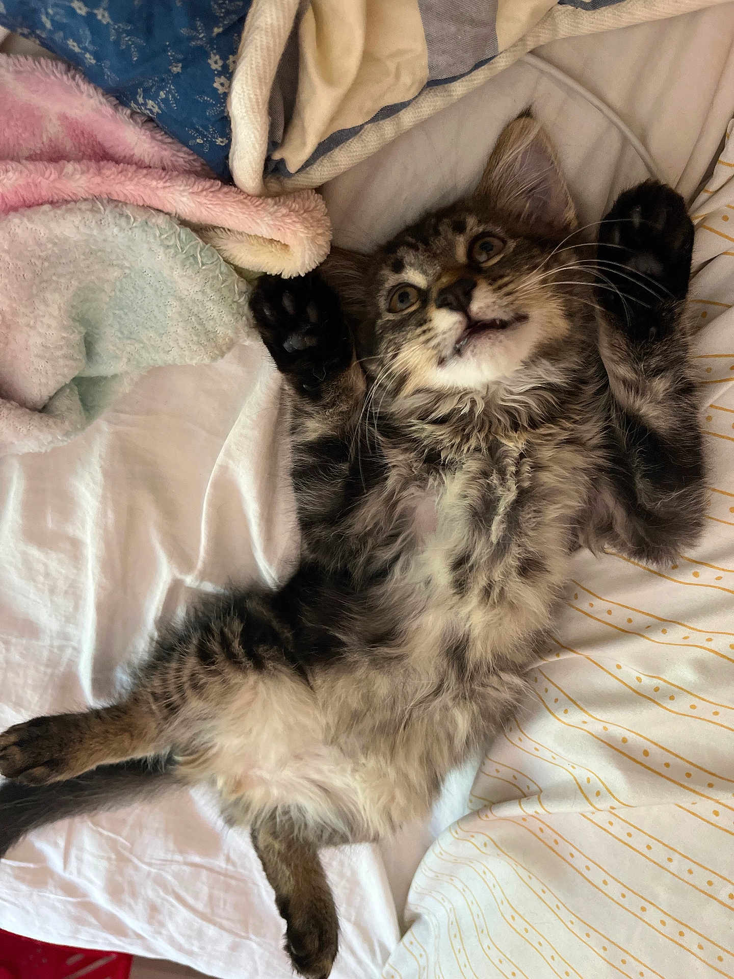 Oliver