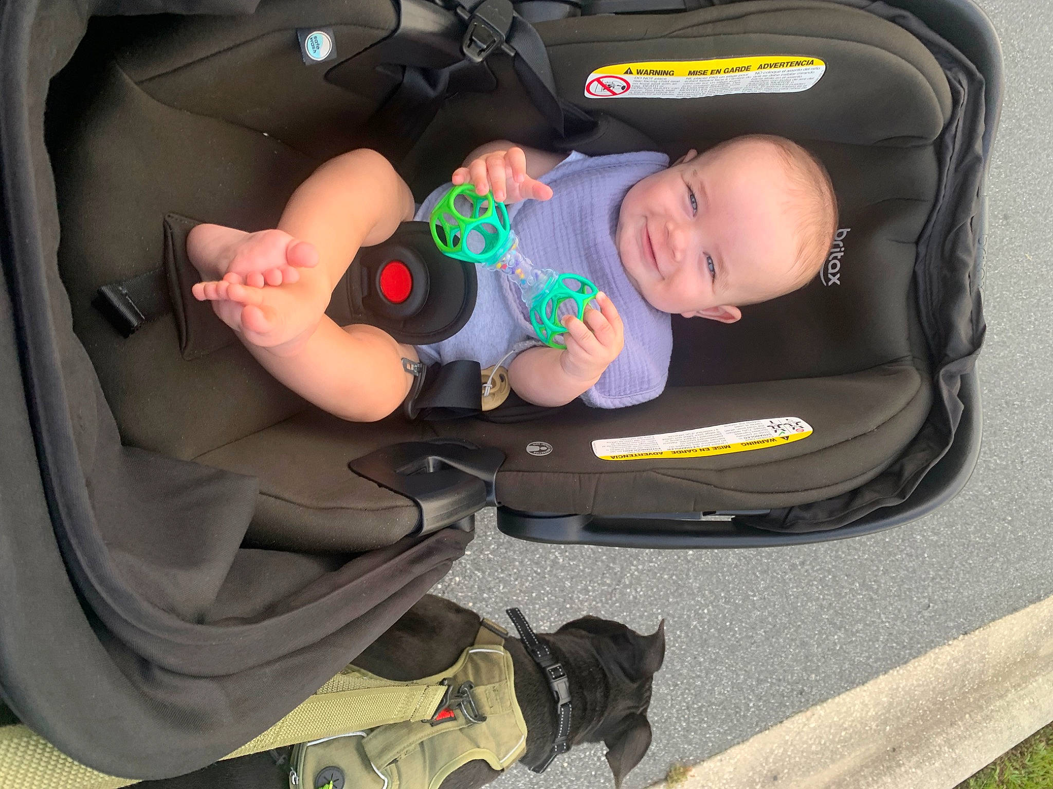 Cooper joined the competition — help win amazing prizes! auto_part, automotive_design, baby, baby_carriage, baby_products, baby_safety, baby_toddler_clothing, bag, baggage, car_seat, child, comfort, fun, head, joy, lap, luggage_and_bags, person, service, sitting