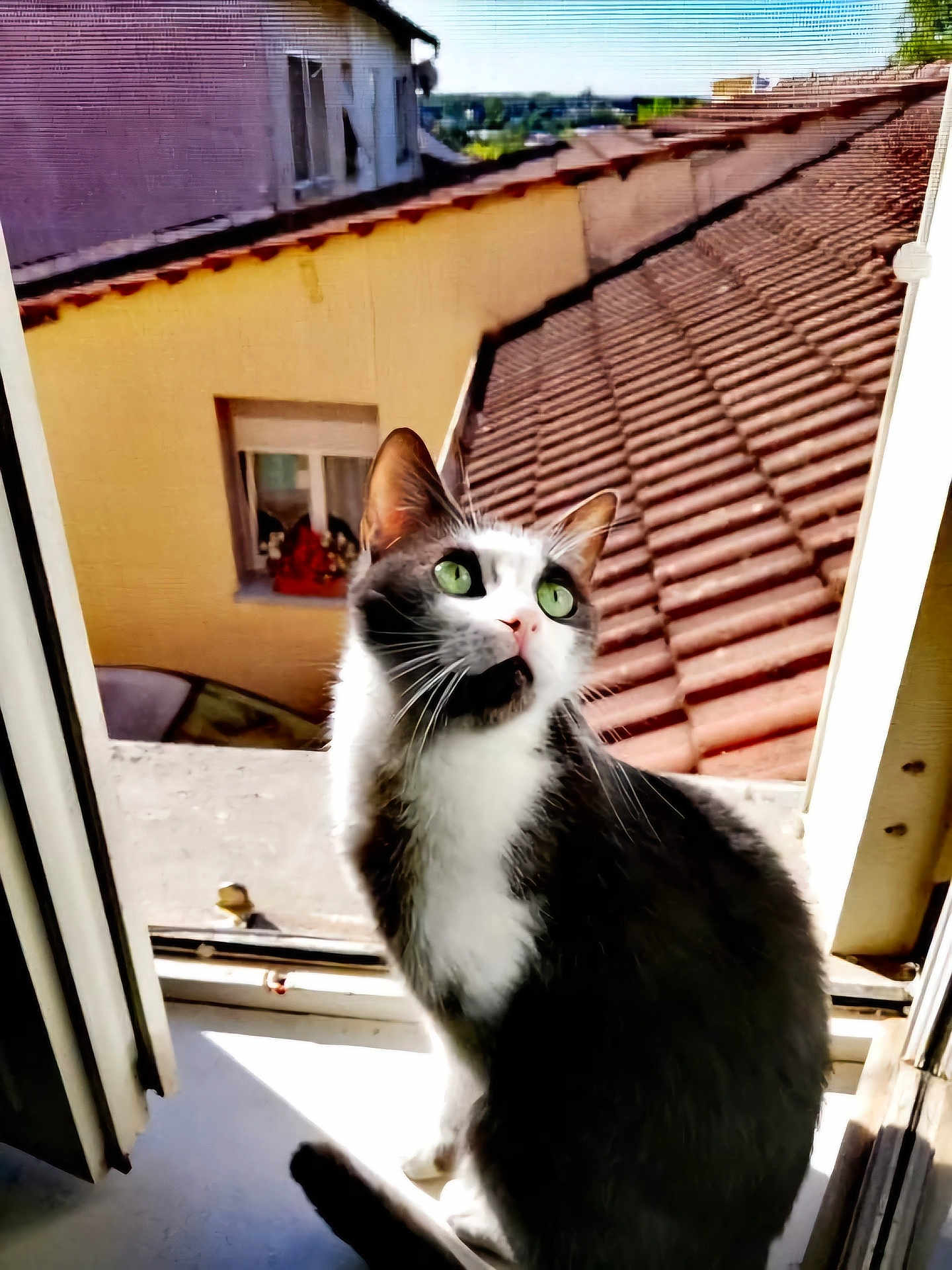 Diego