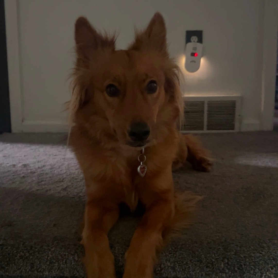 Charley