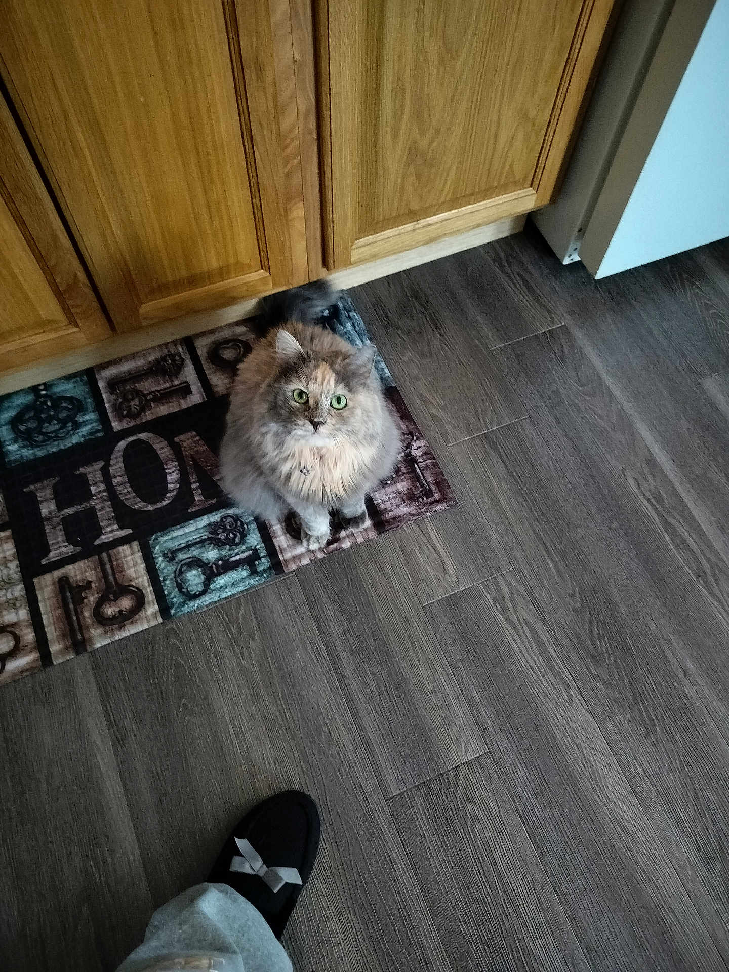 Precious