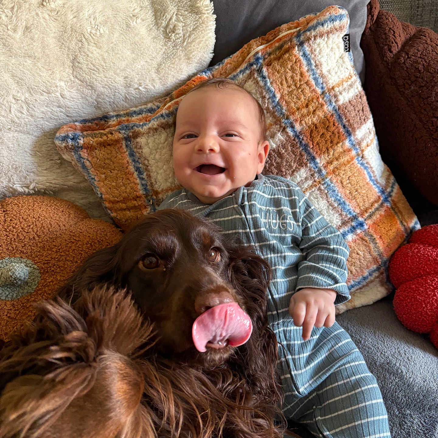 Eden participe au concours pour gagner de l'argent avec cette photo : baby, comfort, couch, cozy, cute, dog, friendship, fur, happy, home, indoor, infant, pet, pillow, playful, plush, relaxing, smile, striped_clothing, tongue_out