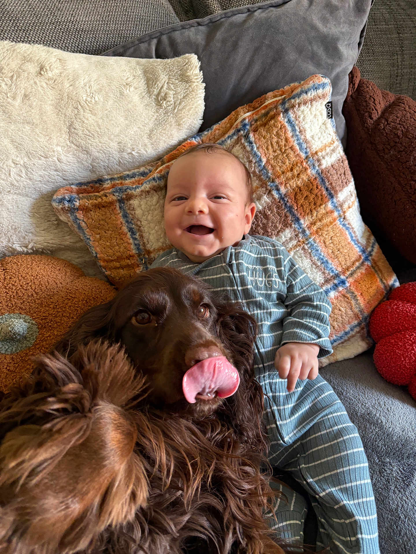 Eden participe au concours pour gagner de l'argent avec cette photo : baby, dog, couch, pillow, smile, pet, cozy, indoor, striped_clothing, fur, happy, relaxing, cute, tongue_out, plush, infant, home, comfort, friendship, playful