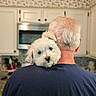 dog, white_dog, pet, man, elderly_man, shoulder, kitchen, home, indoor, back_view, white_hair, blue_shirt, cute, fluffy, companion, animal, domestic_dog, portrait, love, affection