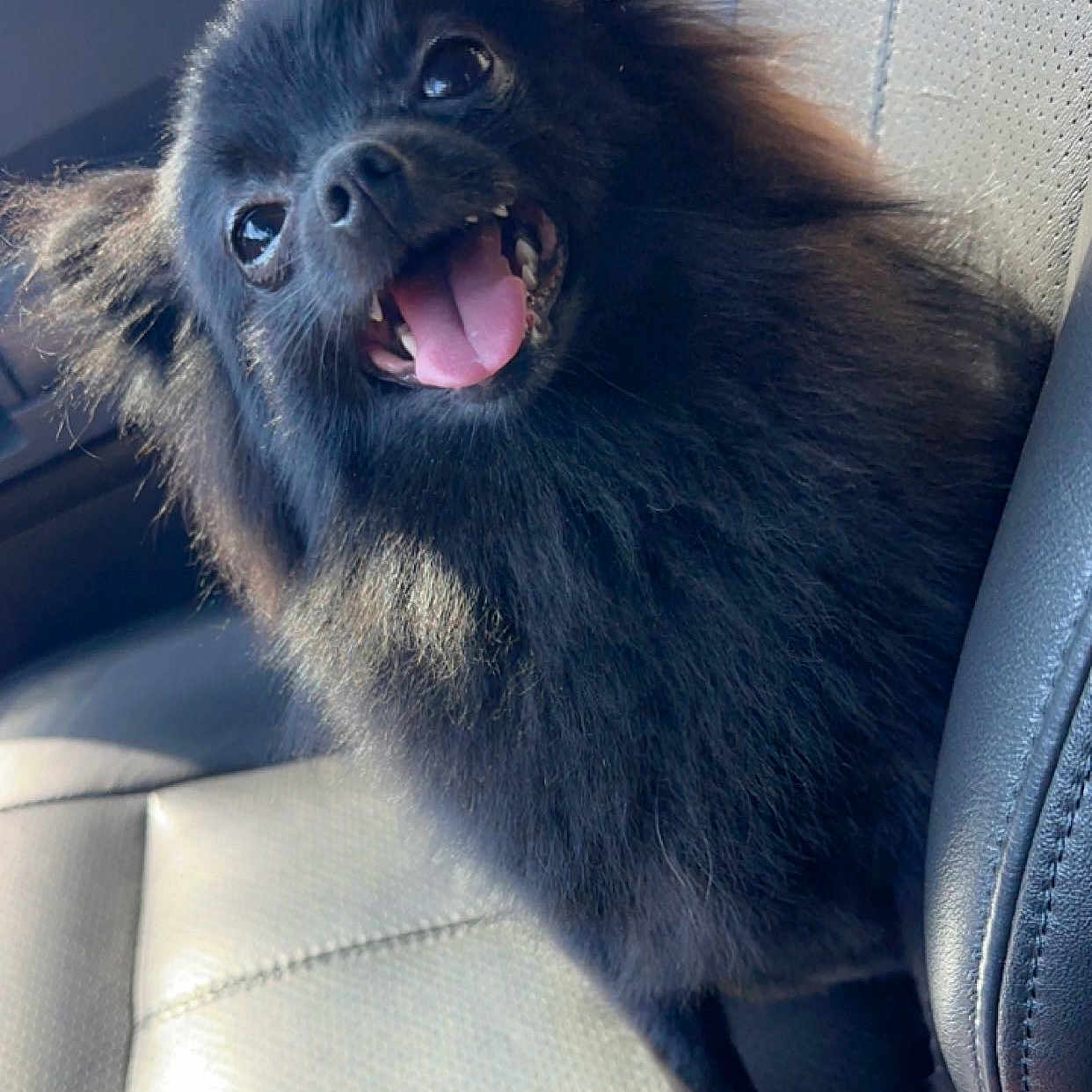 Fluffy