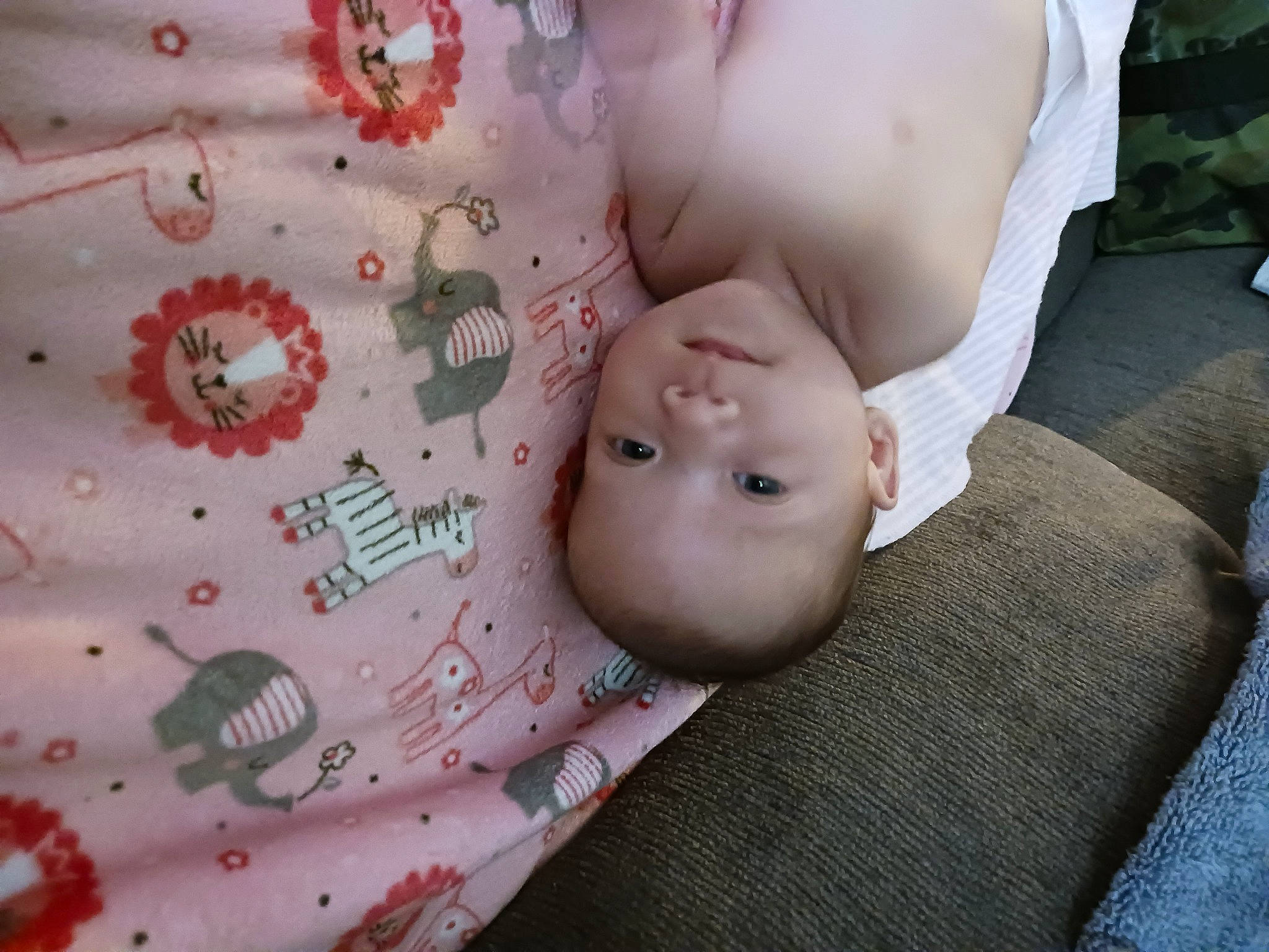 Gracie joined the competition — help win amazing prizes! baby, baby_products, baby_toddler_clothing, cheek, child, comfort, doll, eyelash, grass, happy, linens, pattern, person, pink, product, room, sitting, skin, textile, toddler