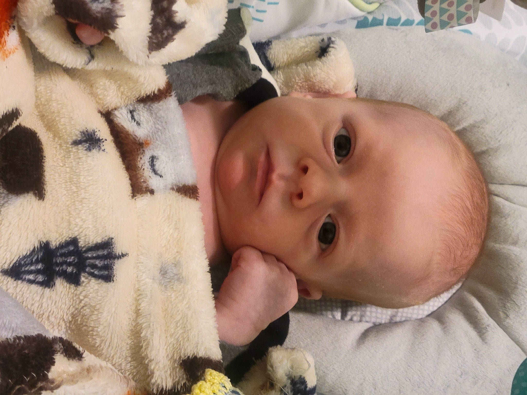 Sebastian joined the competition — help win amazing prizes! baby, baby_toddler_clothing, beauty, cheek, child, comfort, eye, face, facial_expression, fawn, head, linens, nose, organ, people, person, skin, textile, toddler, toy