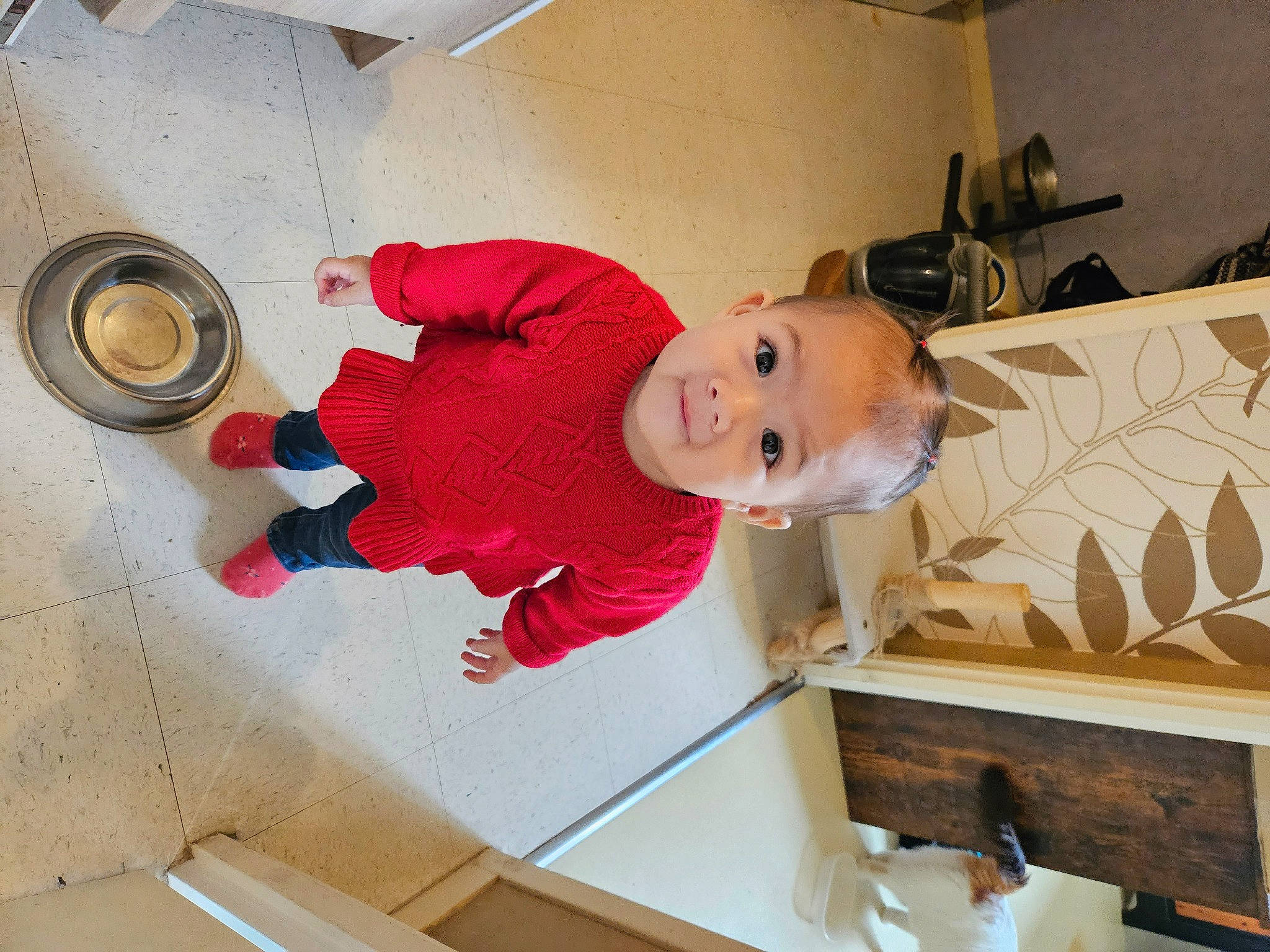 Estella a rejoint le concours — aidez-le/la à gagner de superbes lots ! baby, baby_products, child, circle, floor, flooring, hardwood, hat, house, laundry_room, person, room, smile, toddler, wheel, wood