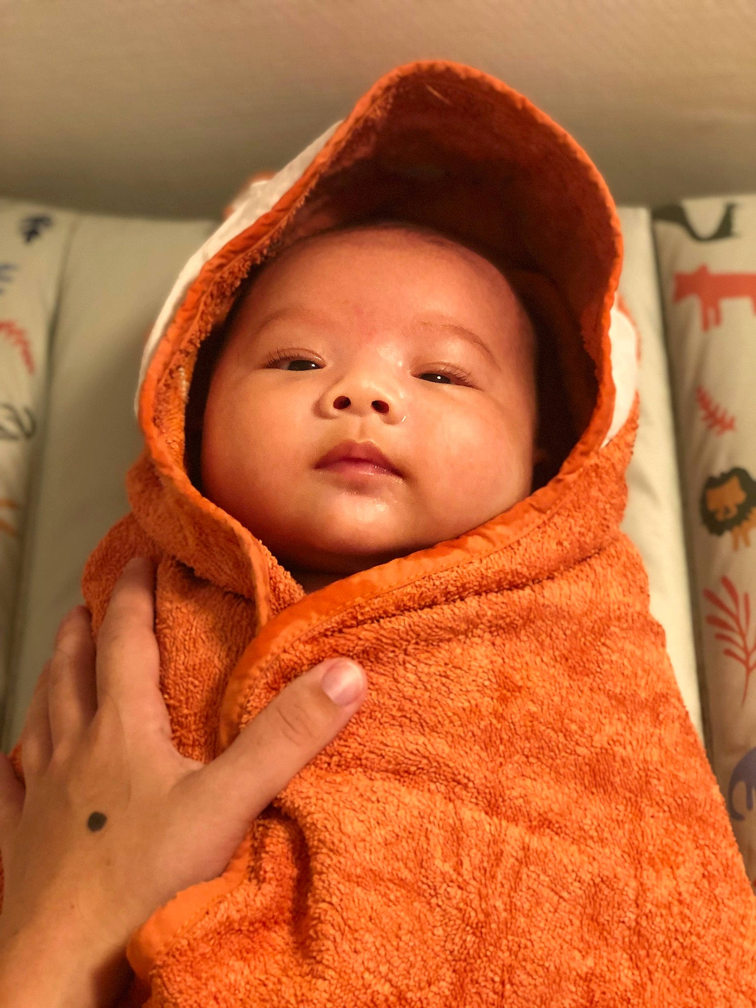 Estella a rejoint le concours — aidez-le/la à gagner de superbes lots ! baby, baby_sleeping, bedtime, cheek, child, close_up, comfort, eye, happy, headwear, hoodie, linens, lip, mouth, nose, outerwear, person, portrait_photography, skin, sleeve