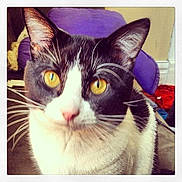 Gorgui is registered to the contest to win money with this photo: