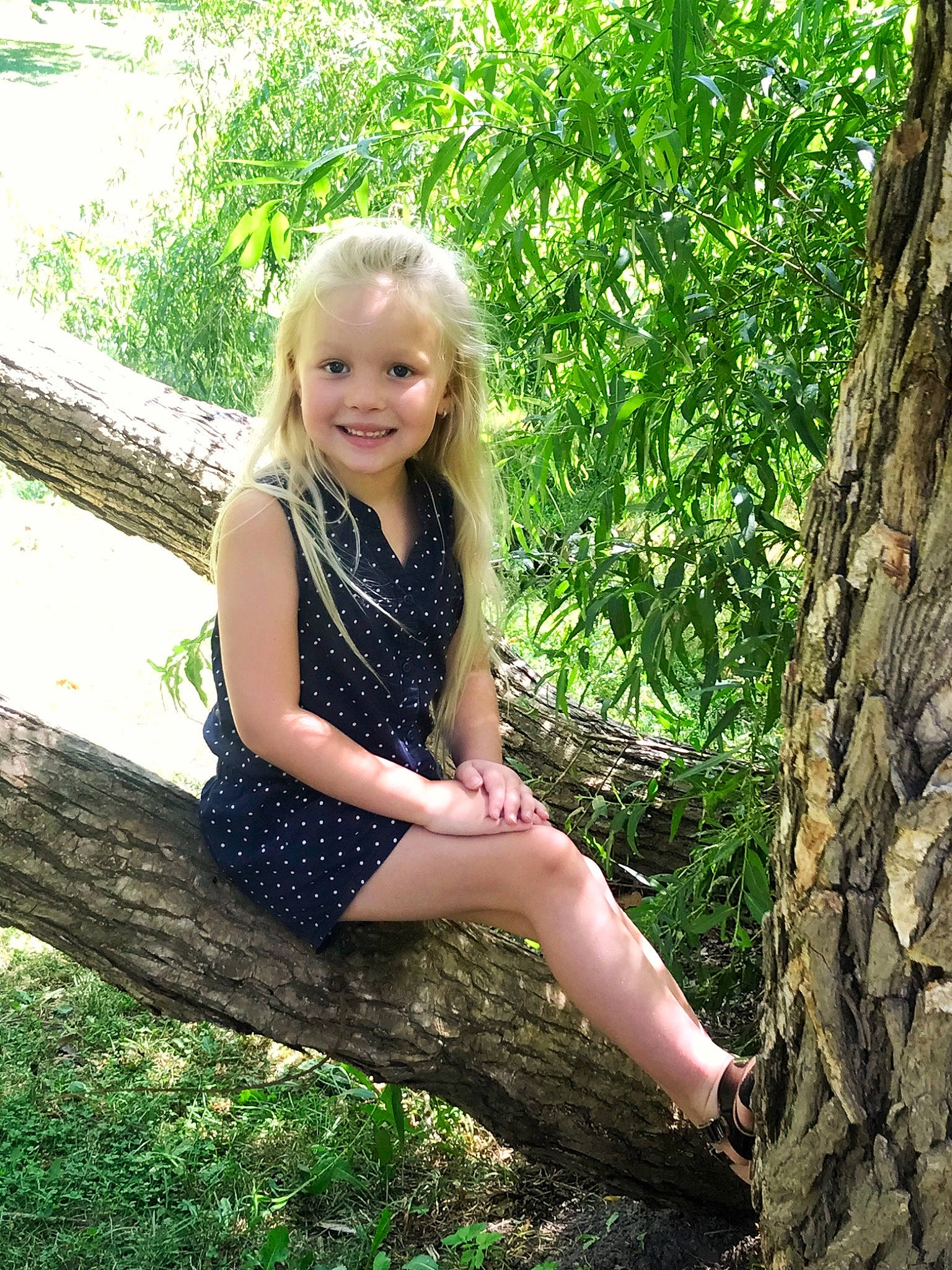 Bentleigh is registered to the contest to win money with this photo: dress, fawn, flash_photography, forest, fun, grass, happy, human_leg, joy, knee, long_hair, people_in_nature, person, plant, skin, smile, sunlight, thigh, tree, trunk