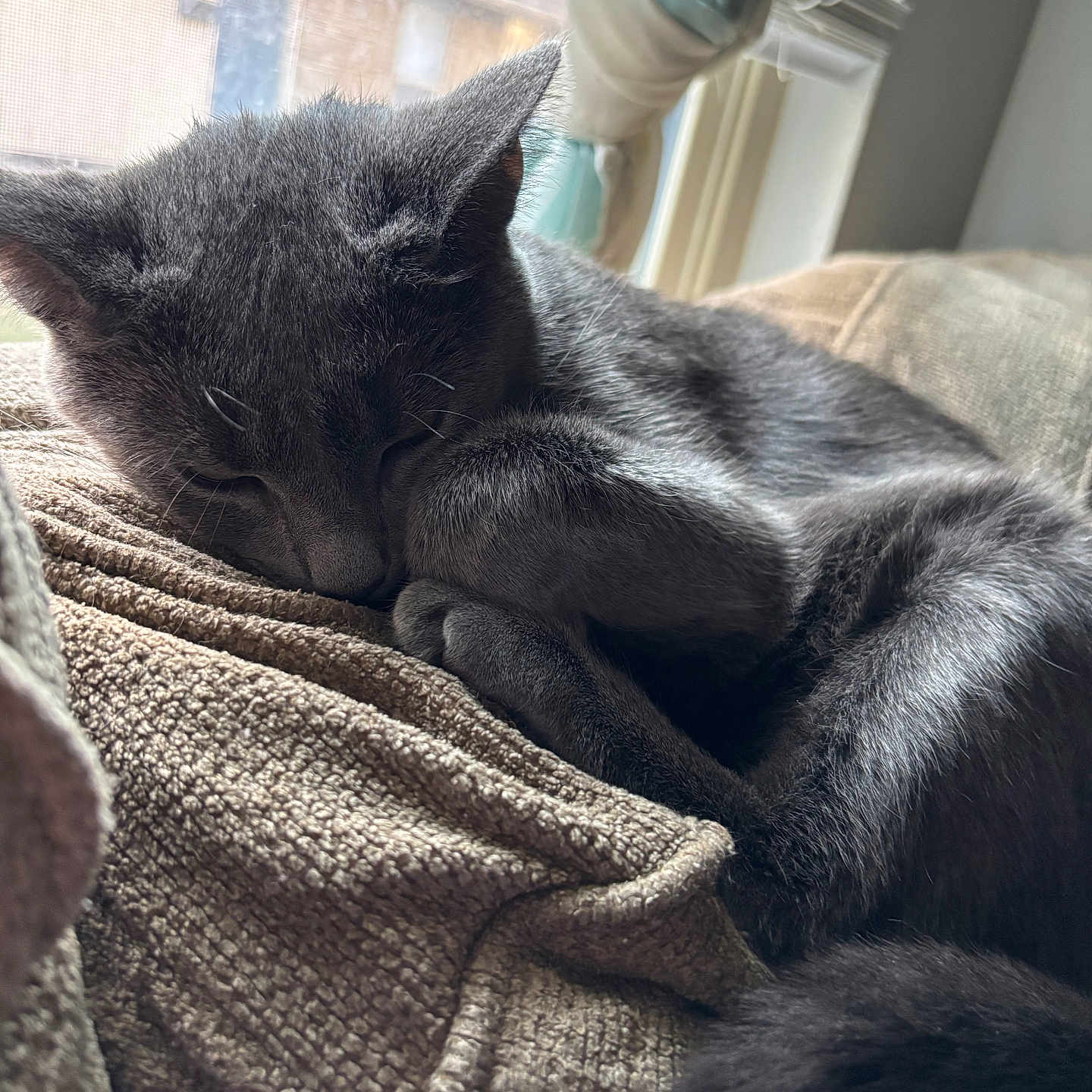 Luna