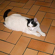 Happy participe au concours pour gagner de l'argent avec cette photo :