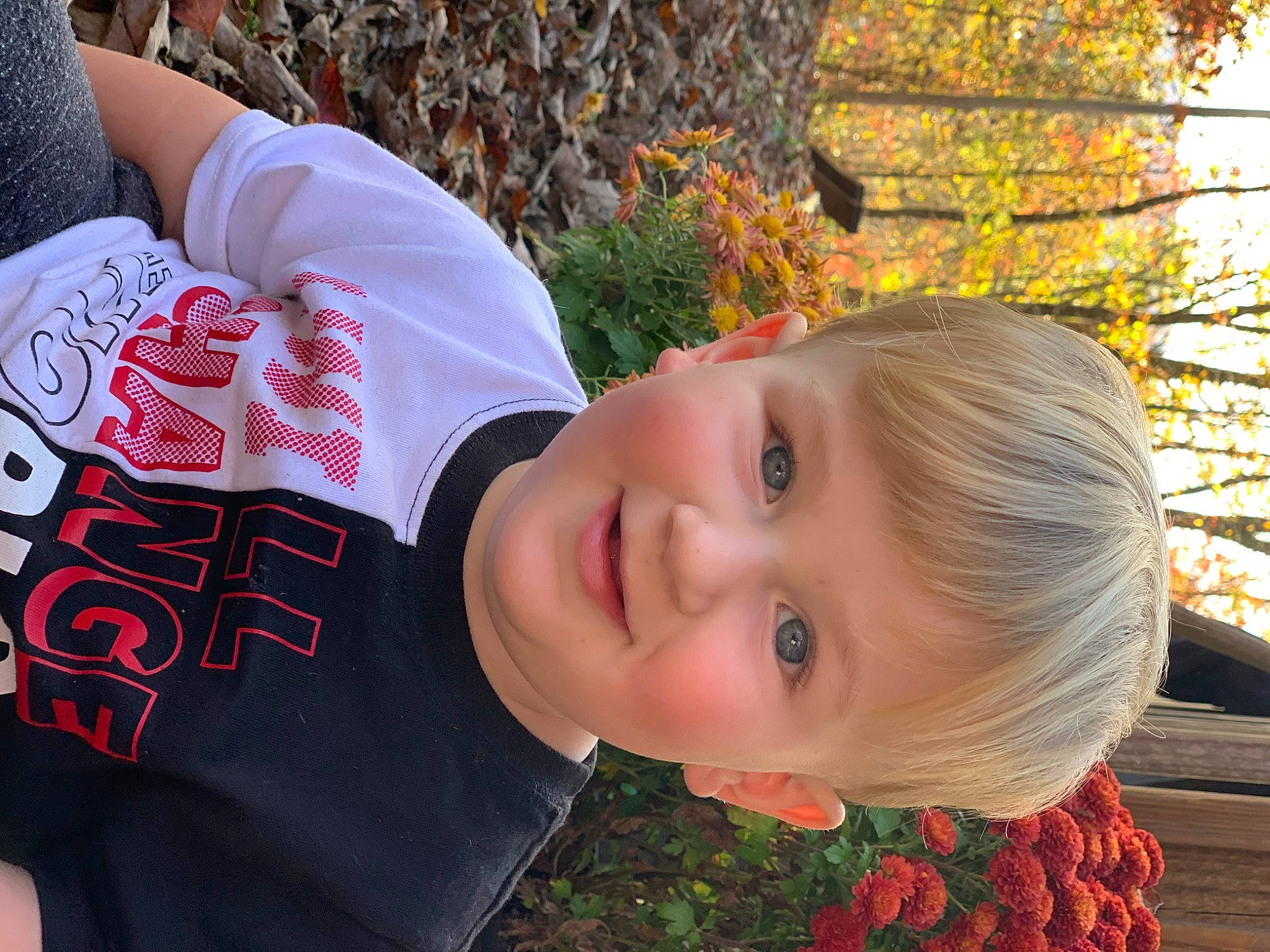 Braven is registered to the contest to win money with this photo: child, joy, leaf, neck, person, plant, toddler, tree