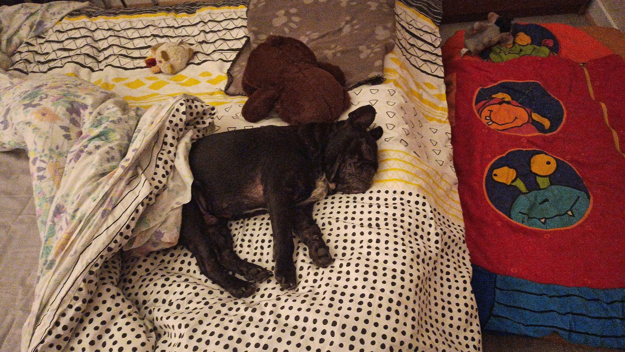 Lego a rejoint le concours — aidez-le/la à gagner de superbes lots ! art, bed_sheet, bedding, carnivore, comfort, dog_breed, fawn, felidae, flooring, linens, pattern, small_to_medium_sized_cats, tail, terrestrial_animal, textile, toy, visual_arts, wood, wool, working_animal