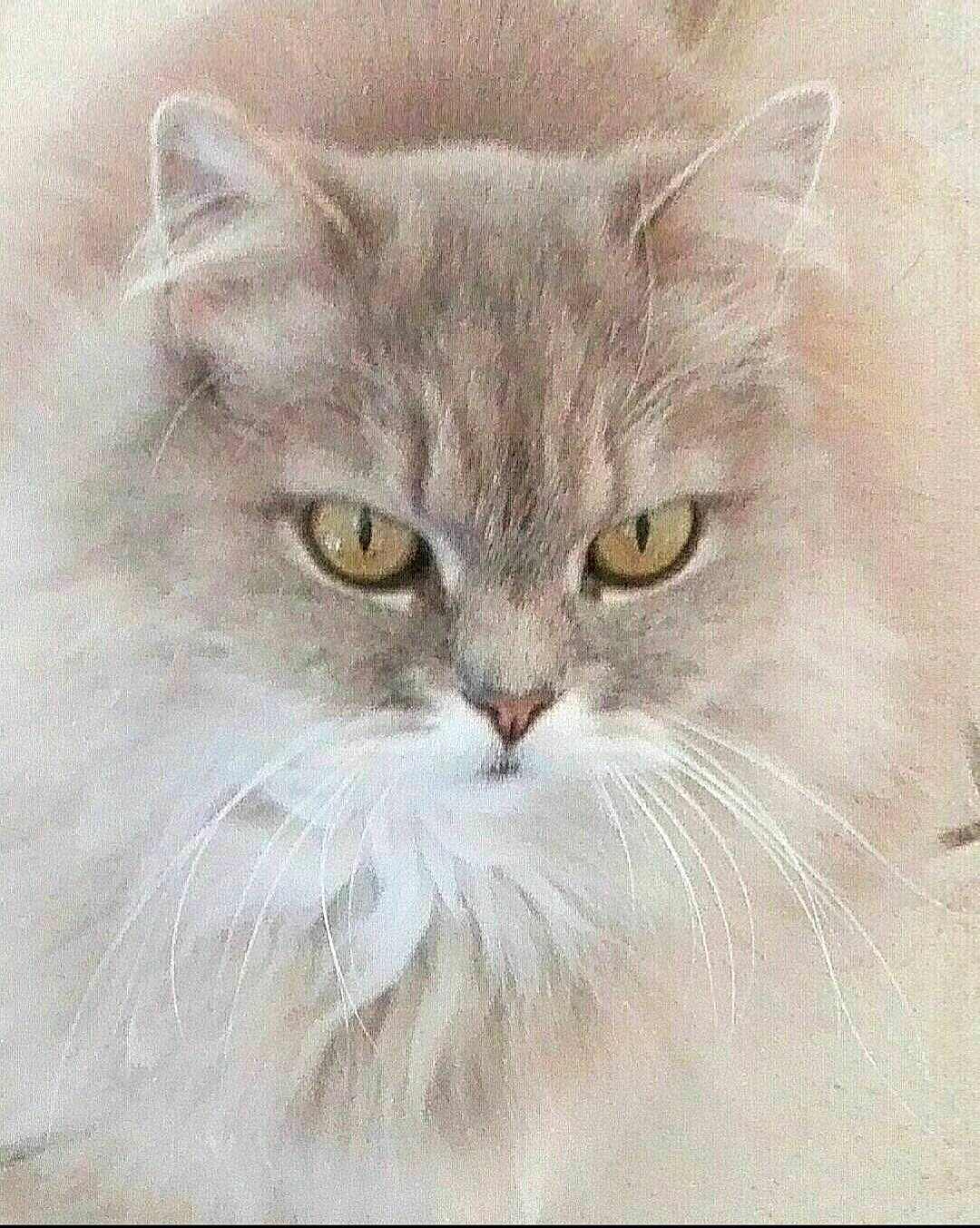 Vanille participe au concours pour gagner de l'argent avec cette photo : art, art_paint, artwork, british_longhair, carnivore, cat, felidae, fur, graphics, illustration, painting, persian, small_to_medium_sized_cats, snout, terrestrial_animal, whiskers