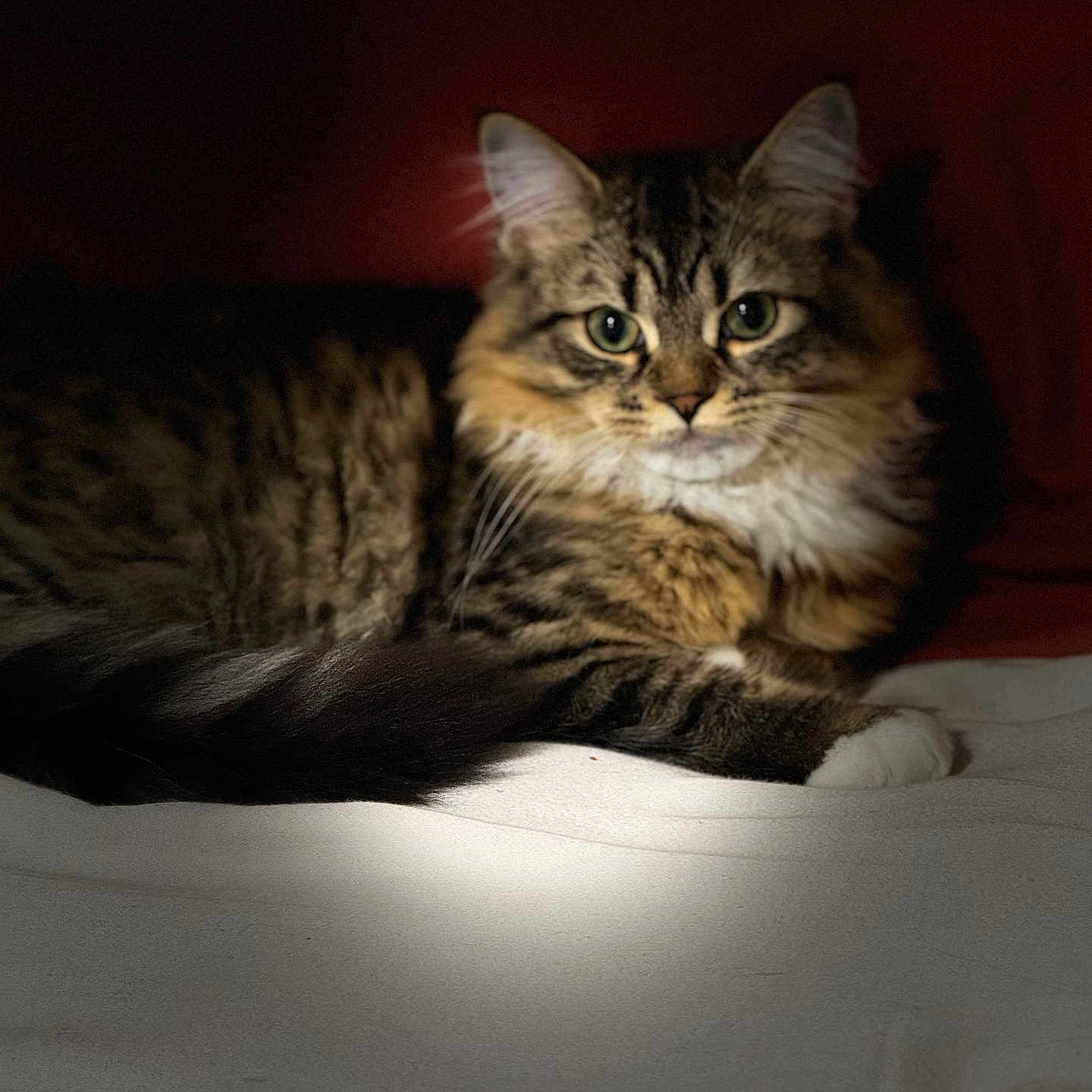 Leo