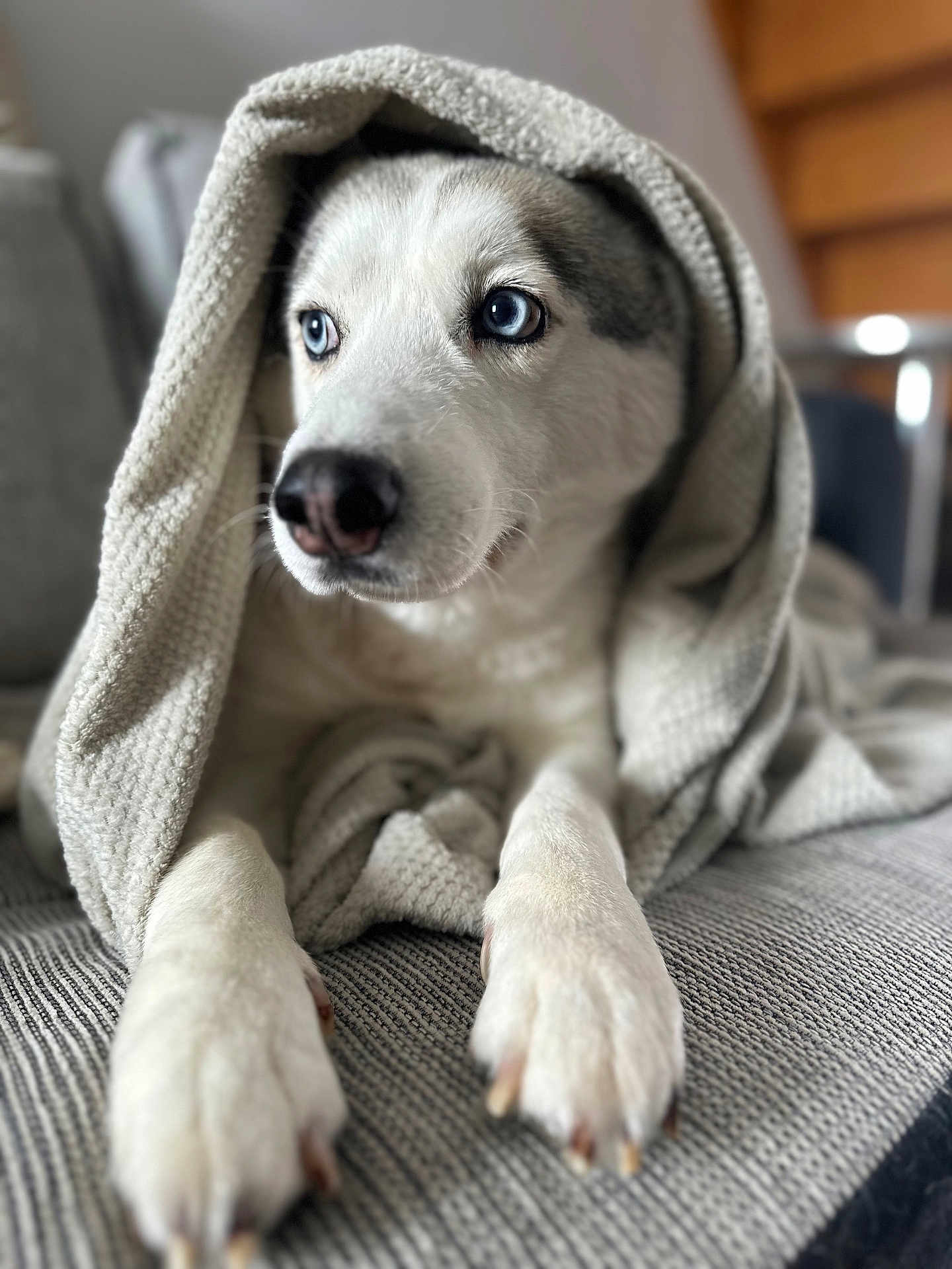 Pumba