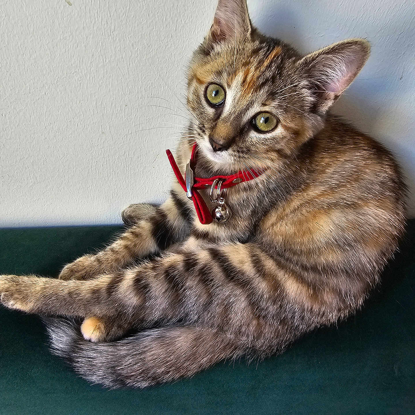 Zoï