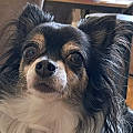 Gigi P.