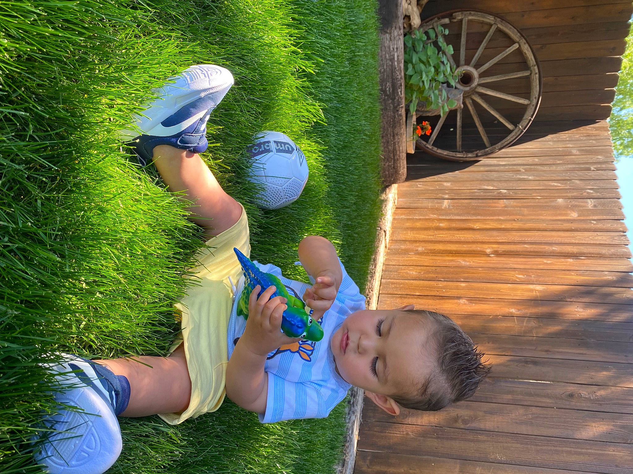 Easton joined the competition — help win amazing prizes! arm, ball, blue, botany, fun, grass, green, happy, leaf, leg, leisure, light, morning, nature, people_in_nature, person, sports_equipment, summer, sunlight, wheel