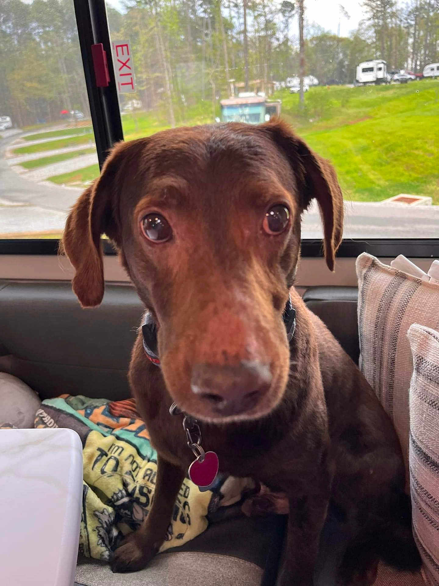 Roscoe