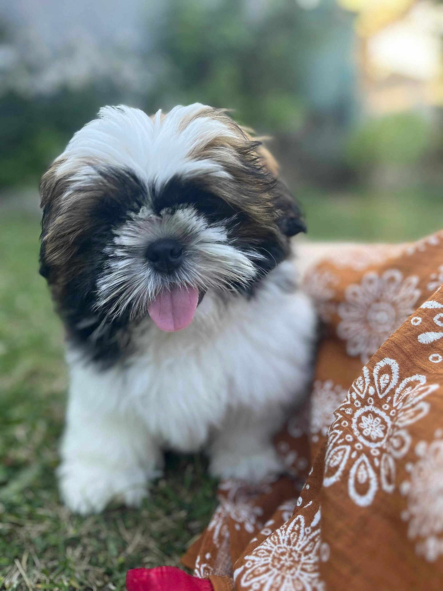 Wilson