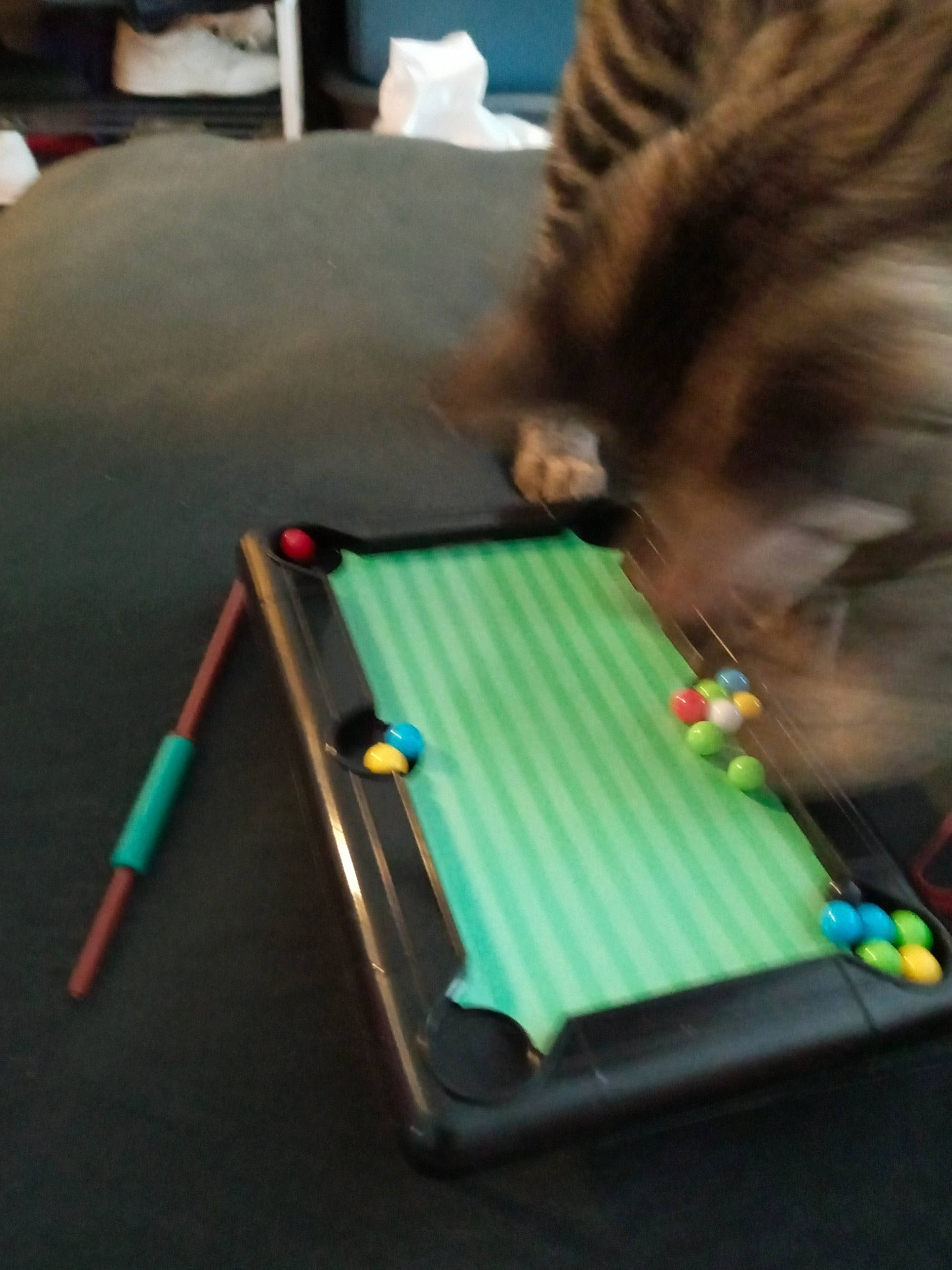 Rooney is registered to the contest to win money with this photo: baize, billiard_room, billiard_table, billiards, blackball_pool, chair, cue_stick, fun, indoor_games_and_sports, pocket_billiards, pool, precision_sports, recreation, recreation_room, sports, straight_pool, table, tableware, toy, wood