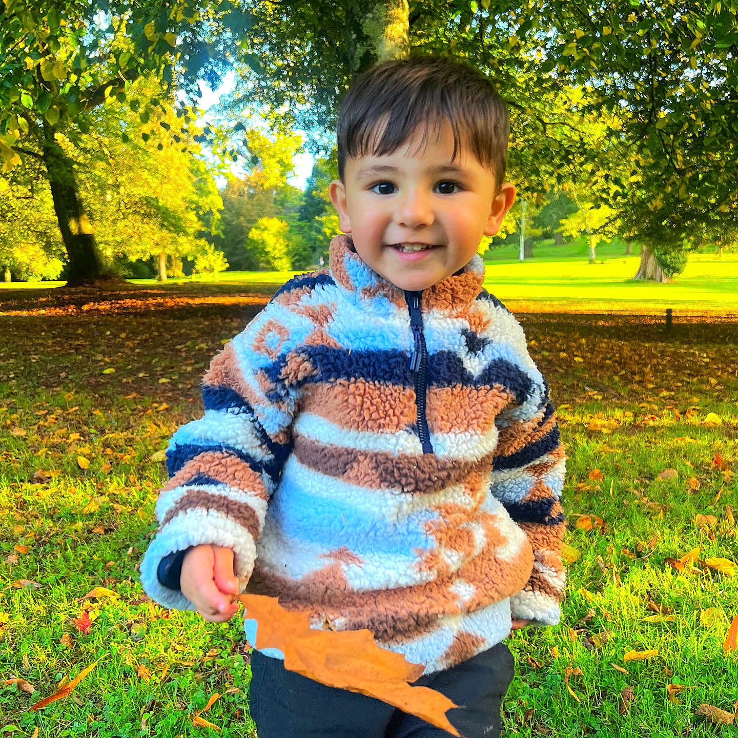 Noah is registered to the contest to win money with this photo: autumn, boy, casual_clothing, child, daylight, fall, fleece, green_grass, happy, jacket, leaf, nature, outdoor, park, playful, portrait, seasonal, smiling, sunlight, trees