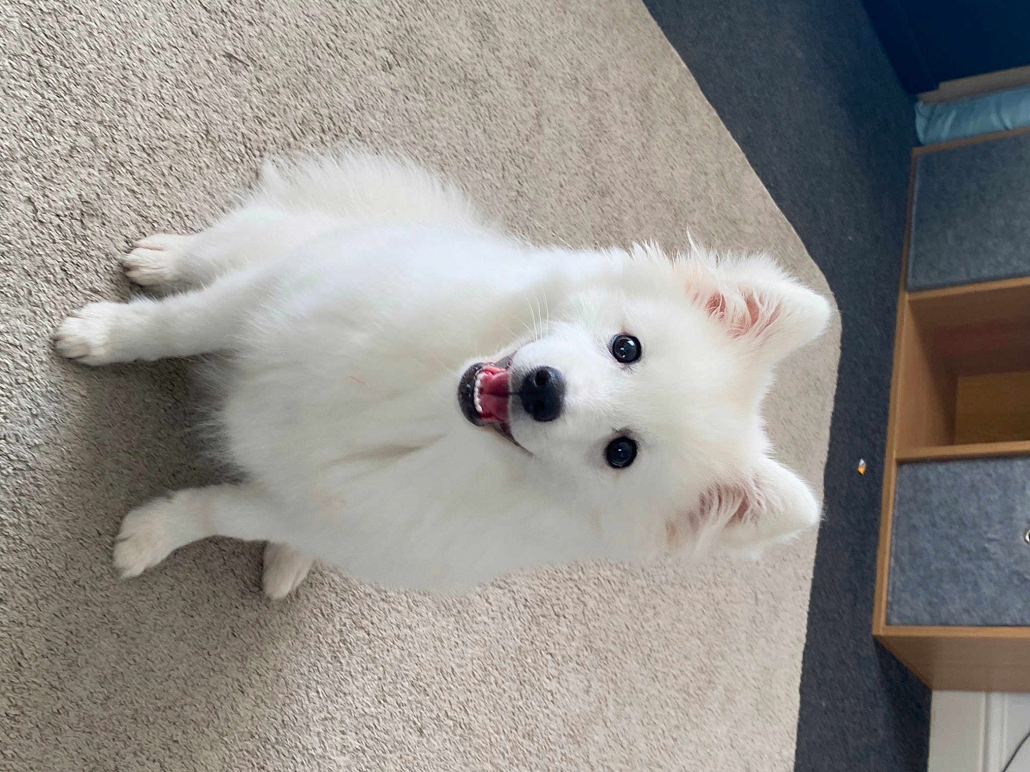 Lenny