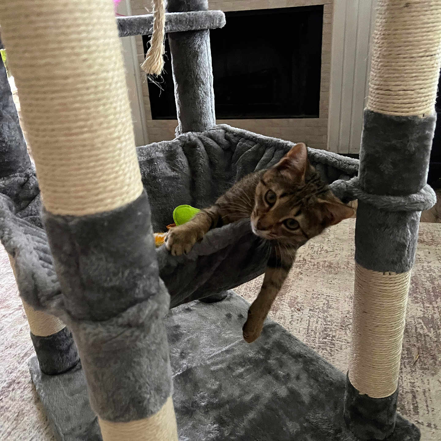 Luna