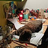cat, sleeping, desk, workspace, craft_supplies, stationery, pens, pencils, calculator, papers, notebook, jars, shelf, indoors, home, cluttered, gray_fur, relaxed, plush_toy, creative_space
