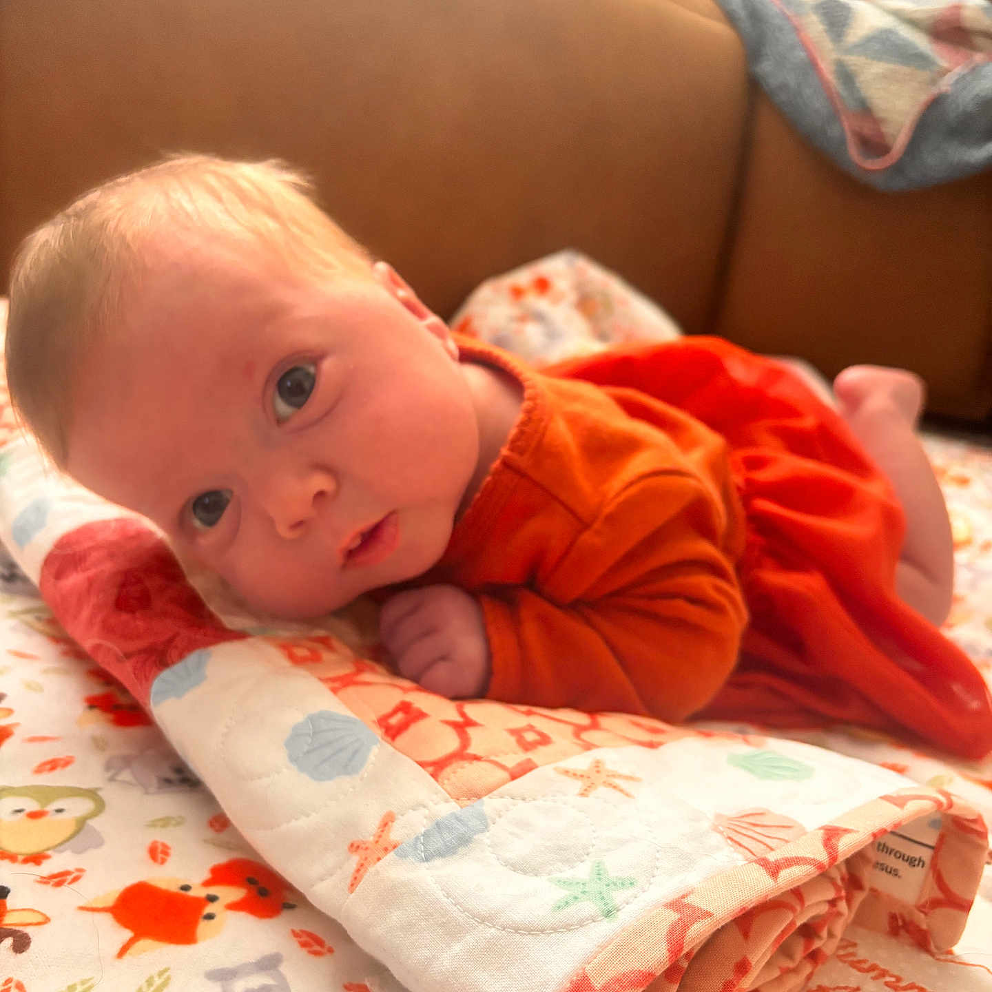 Opal is registered to the contest to win money with this photo: baby, blanket, child, colorful, couch, curious, cute, expression, face, floor, head, home, indoors, infant, lying_down, orange_clothing, portrait, quilt, small_hands, soft_light