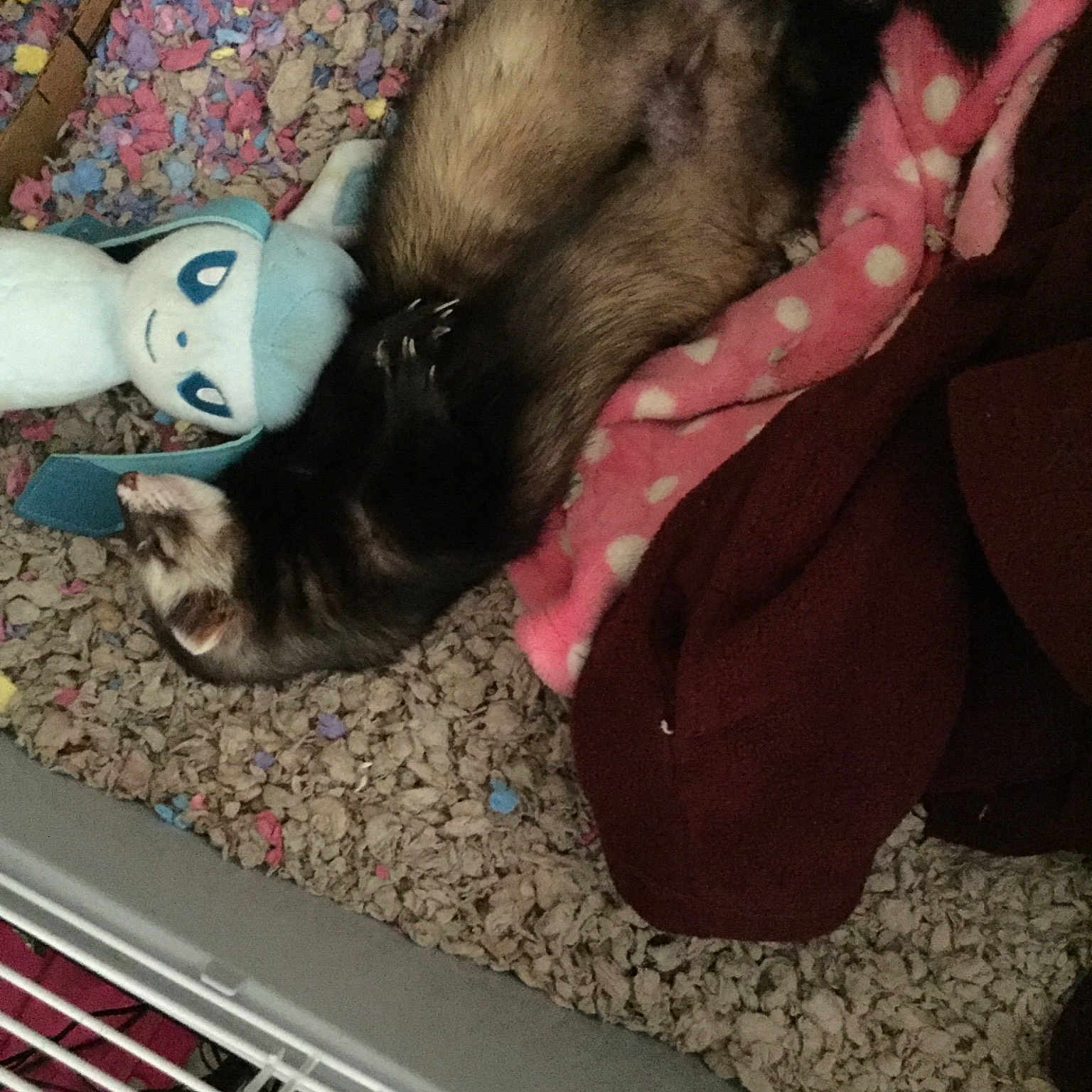 Zeus