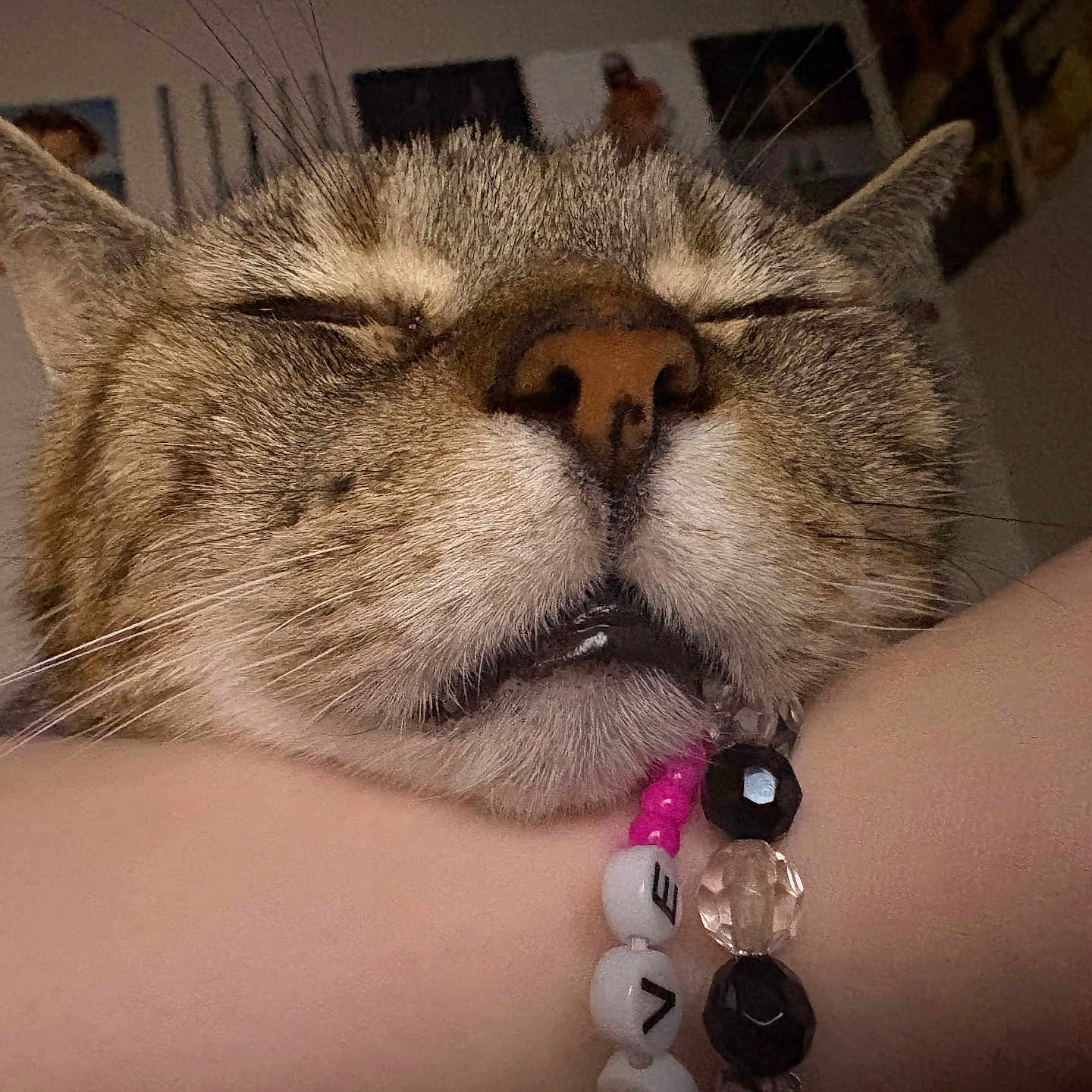 Ipaw