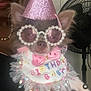 dog, party_hat, glasses, birthday, costume, pet, celebration, pink, accessory, tulle, ruffle, indoor, fan, person, closeup, cute, small_dog, fashion, fun, portrait