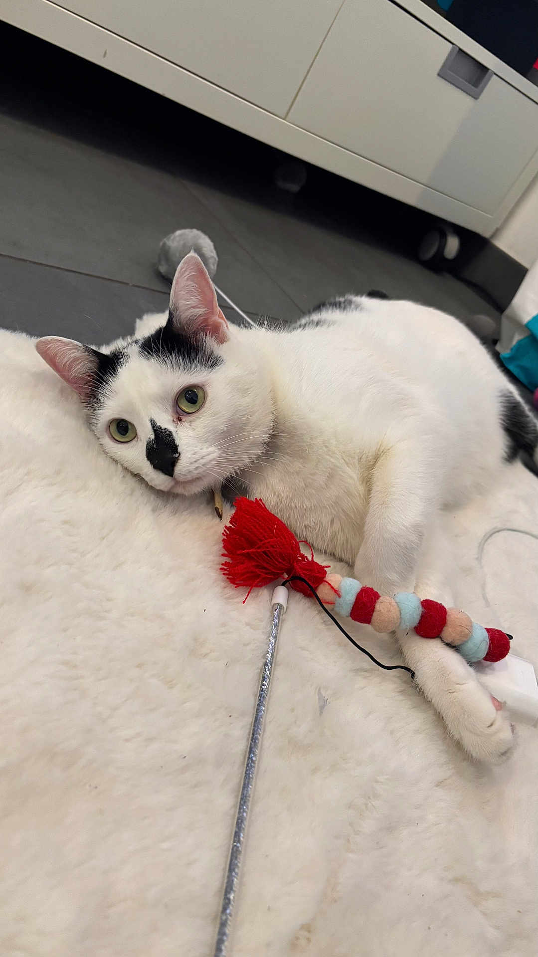 Suki