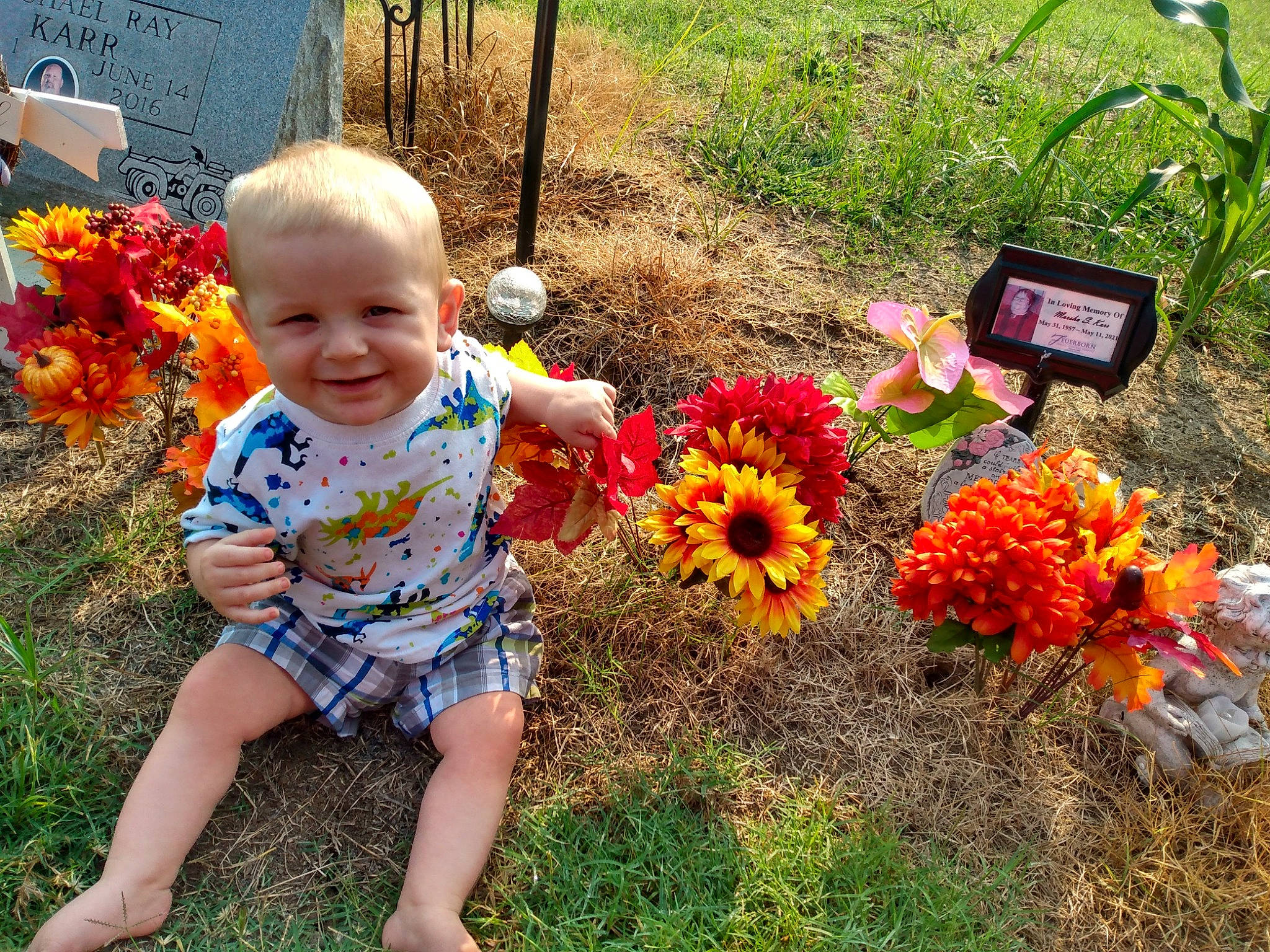 Wesley is registered to the contest to win money with this photo: annual_plant, baby, baby_toddler_clothing, flower, fun, grass, groundcover, happy, iris, joy, landscape, lawn, leaf, leisure, nature, orange, people_in_nature, person, petal, plant