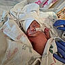 newborn, baby, infant, sleeping, hospital, medical, incubator, oxygen_tube, nasal_cannula, cap, blanket, swaddled, premature_baby, bed, gloves, healthcare, portrait, face, tiny_fist, indoors