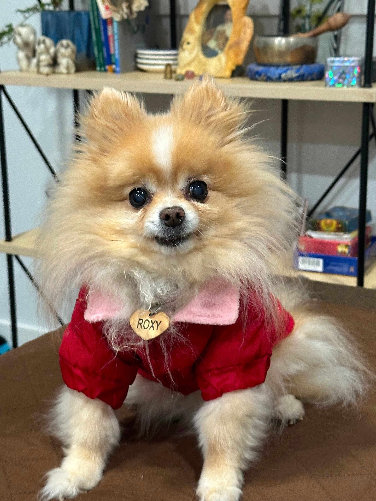Roxy