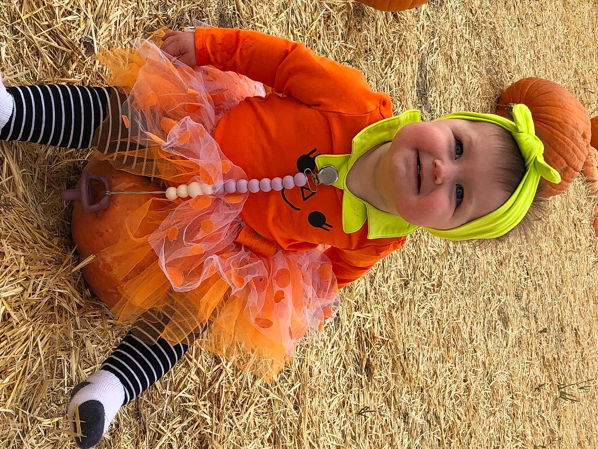Ivy joined the competition — help win amazing prizes! baby, child, costume, grass, headwear, joy, orange, person, plant, toddler